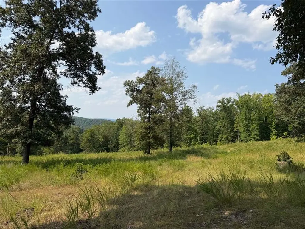 459 Nc 3057, Marble Falls, AR 72648 - #1
