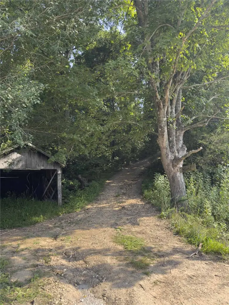 TBD 001-06888-004 Tract 5 W Tbd Highway 74, Kingston, AR 72742 - #2