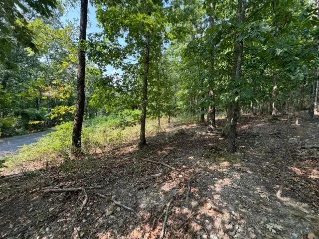 11 Dickenshire Circle, Bella Vista, AR 72714 - #2