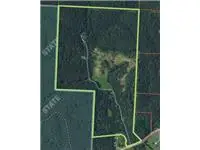 681 & 825 Windwalker, Goodman, MO 64843 - #3