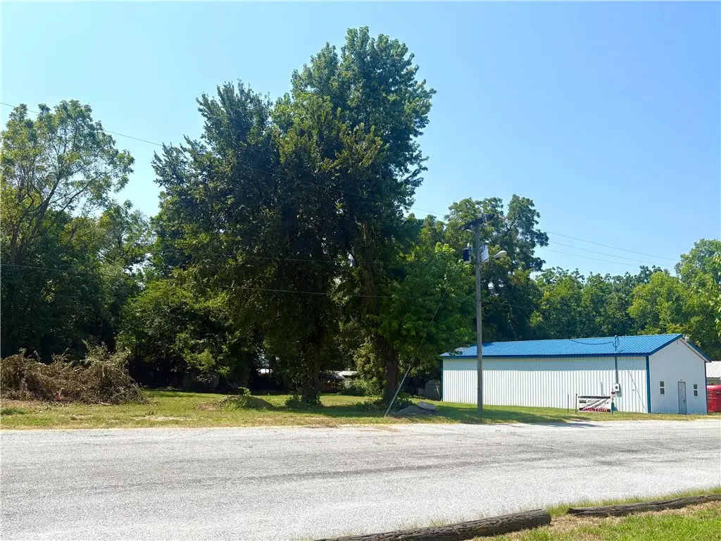 Tract C - 317 Front Street, Stark City, MO 64866 - #1