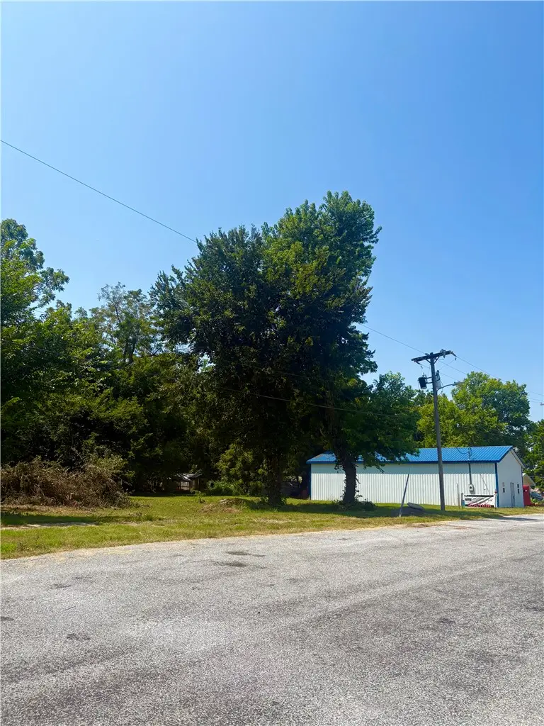 Tract C - 317 Front Street, Stark City, MO 64866 - #2