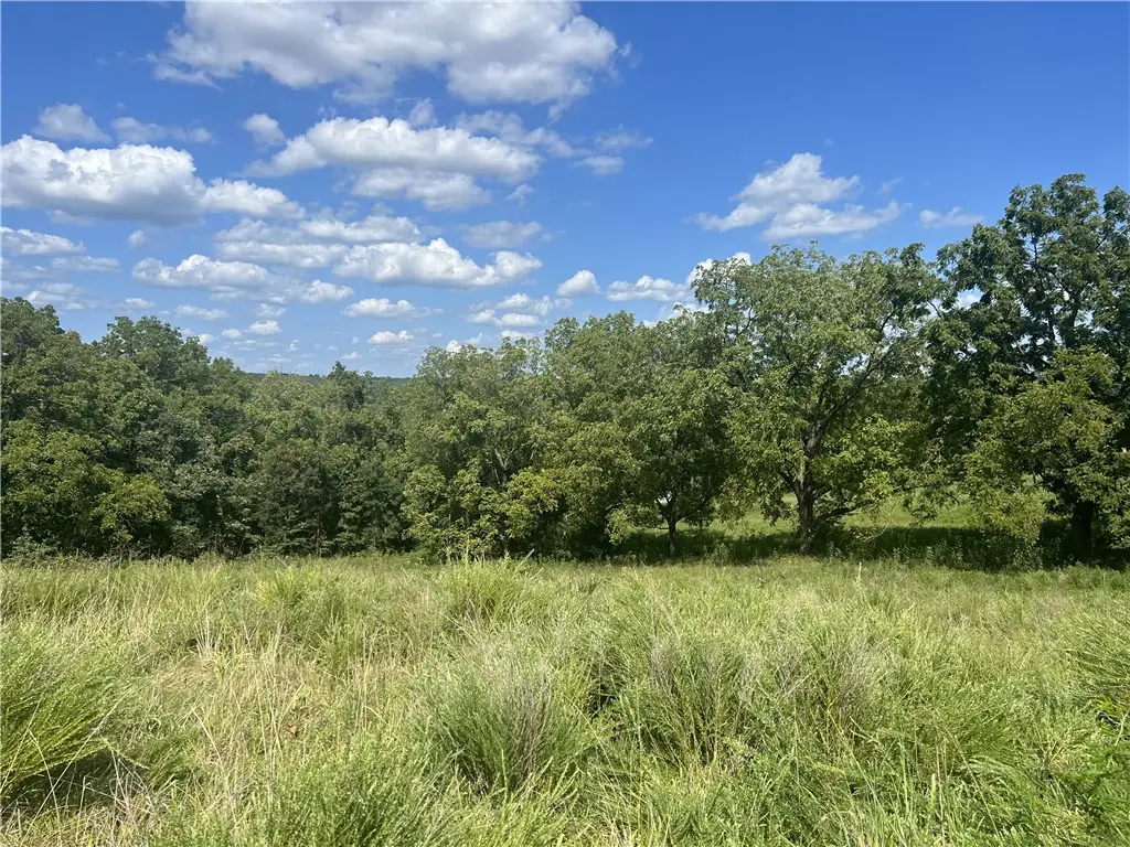 Hope Creek Lane, Harrison, AR 72601 - #1