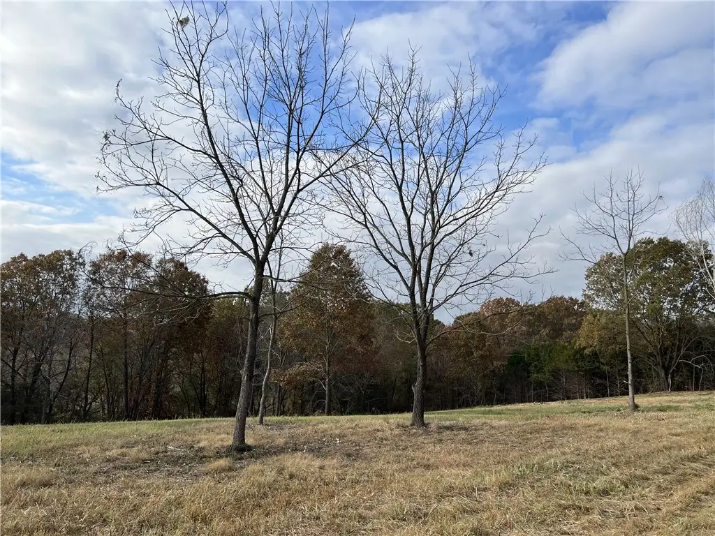 2758 N Center Loop, Harrison, AR 72601 - #1