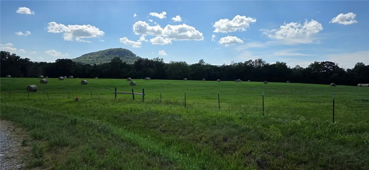 Starlite Drive, Harrison, AR 72601 - #1