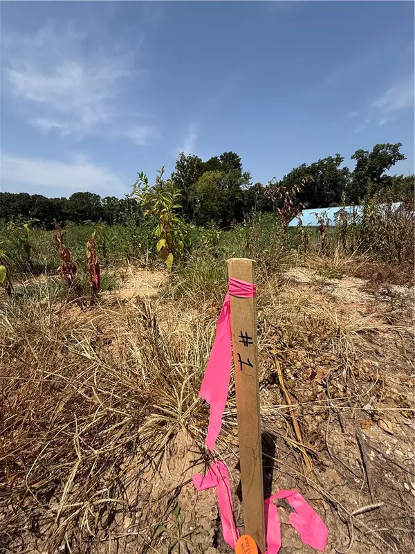 Lot 1 Little Street, Seligman, MO 65745