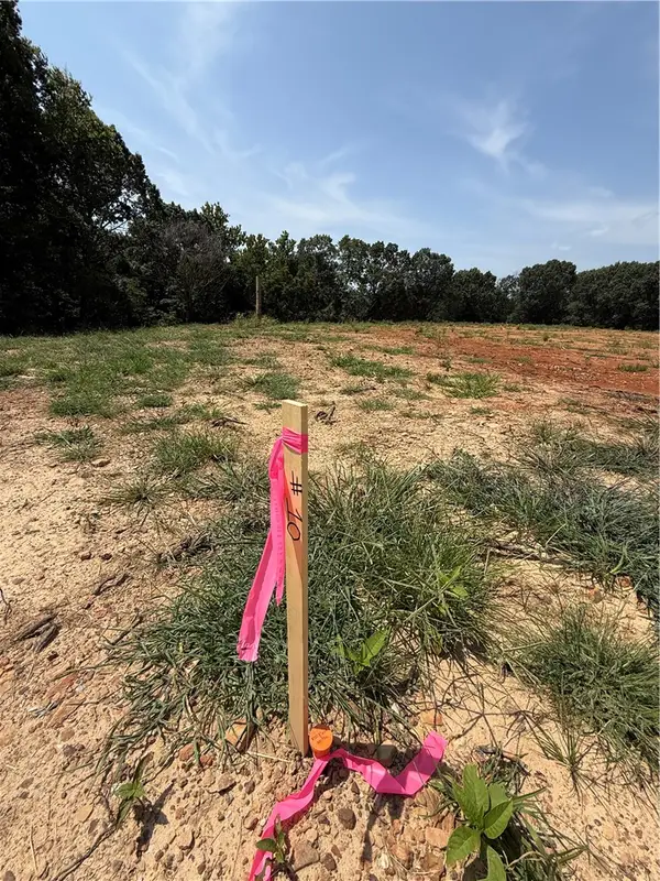 Lot 10 Little Street, Seligman, MO 65745
