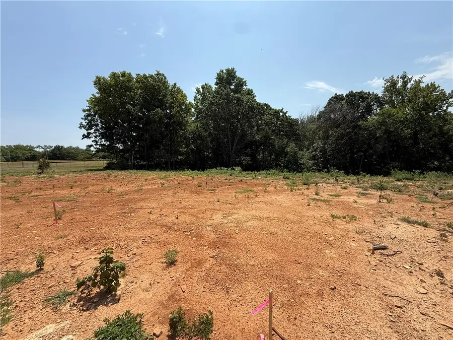 Lot 10 Little Street, Seligman, MO 65745 - #3