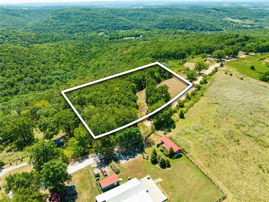 16850 Old Cricket Road, Omaha, AR 72662 - #1