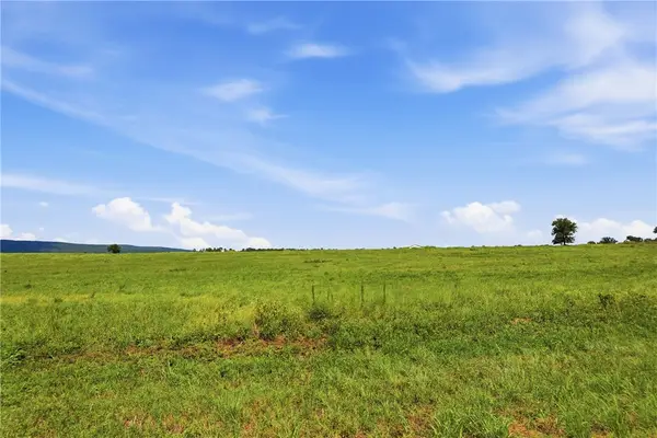 TBD Pine Street, Hector, AR 72843