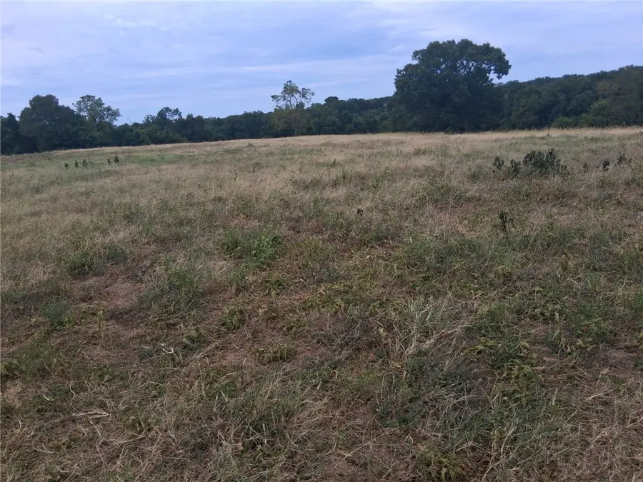 Tbd, Washburn, MO 65772 - #2