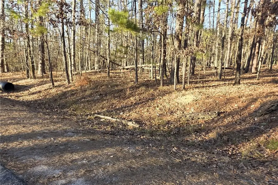 Belleza Way, Hot Springs Village, AR 71909 - #3