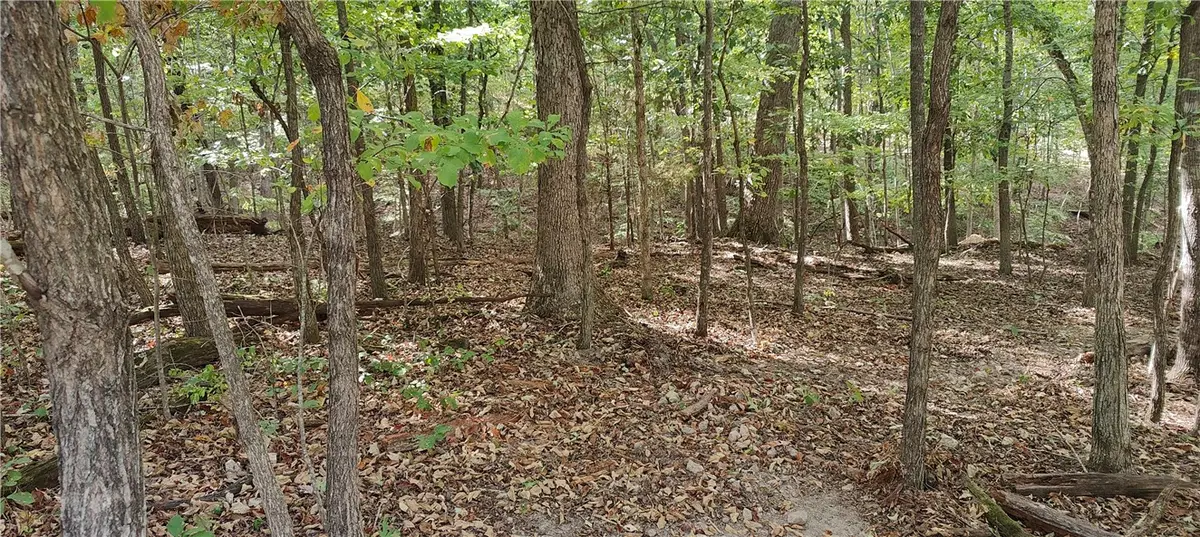 16-11641-000 Bell Lane, Bella Vista, AR 72714 - #1