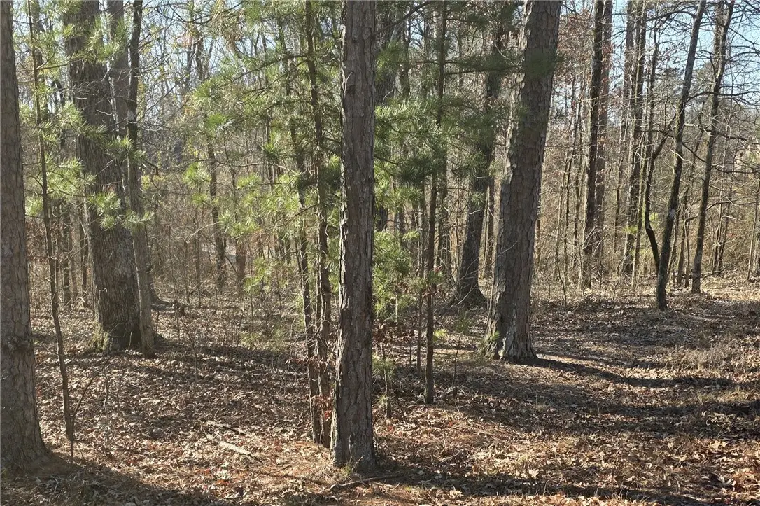 76 Elcano Drive, Hot Springs Village, AR 71909 - #1