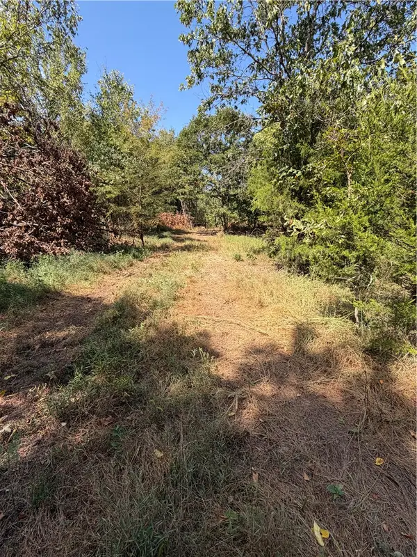 244 N N Hwy 244, Summers, AR 72769