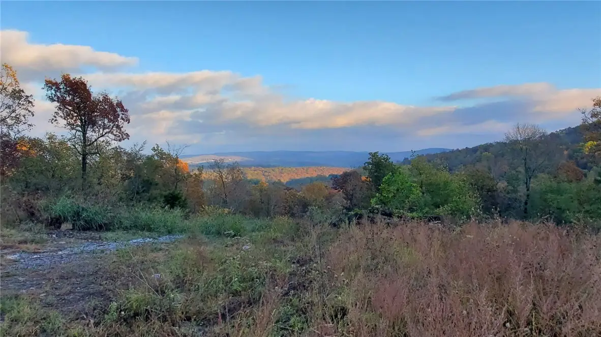 Tony Mountain Road, Fayetteville, AR 72701 - #1