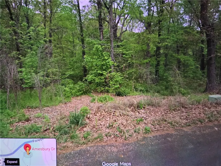 Lot 7 Amesbury Drive, Bella Vista, AR 72715 - #3