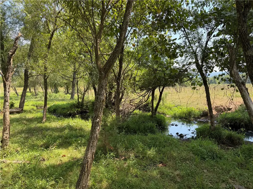 1 Madison 3655, Kings River, AR 72742 - #1