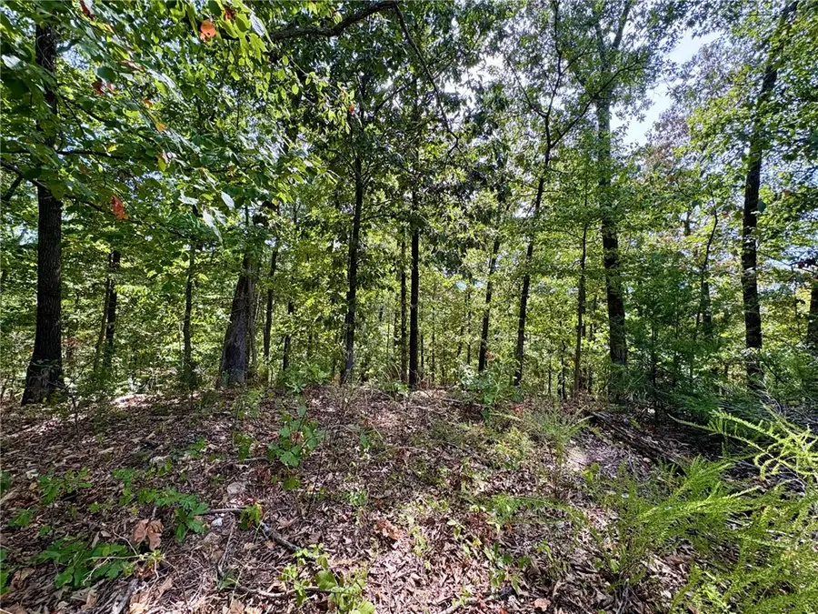 3 Burn Lane, Bella Vista, AR 72714 - #2