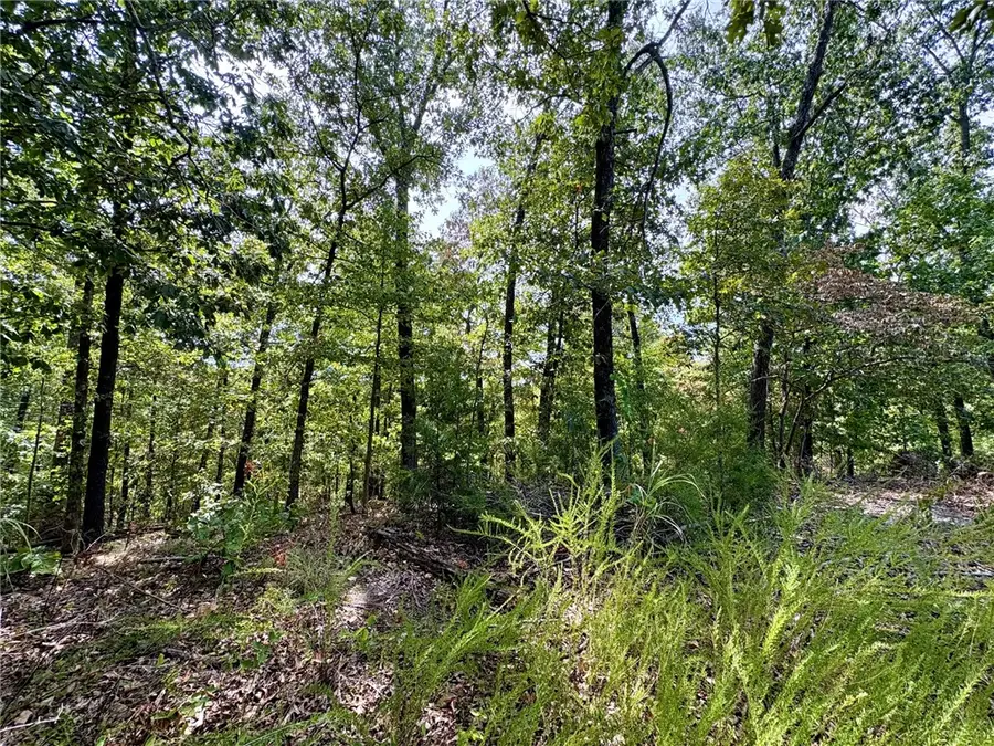 3 Burn Lane, Bella Vista, AR 72714 - #3