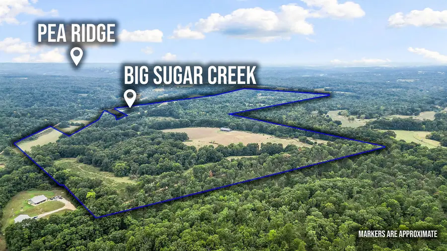 4365 Farm Rd. 2290, Seligman, MO 65745 - #2