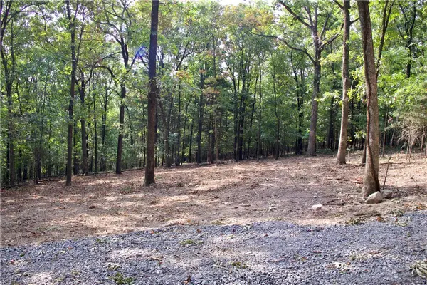 0000 Ozark Point (tract 1), Rudy, AR 72952