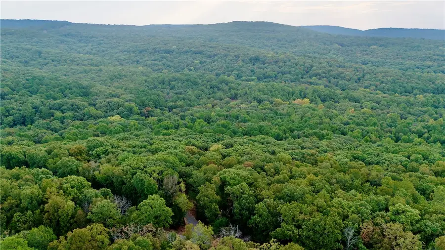 0000 Ozark Point (tract 1), Rudy, AR 72952 - #3