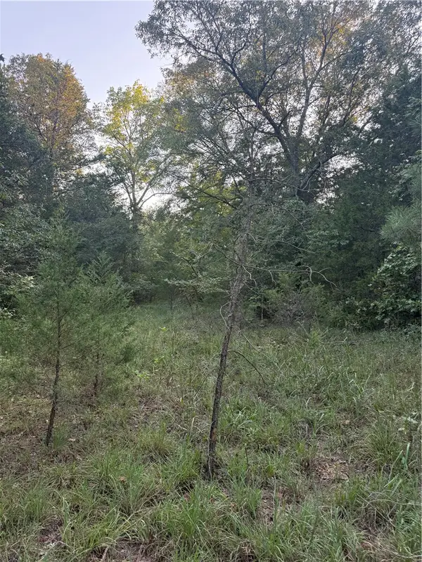 10 Earl Lane, Dover, AR 72837