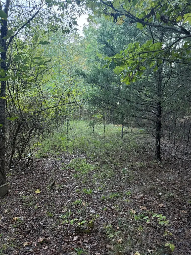 10 Earl Lane, Dover, AR 72837 - #2