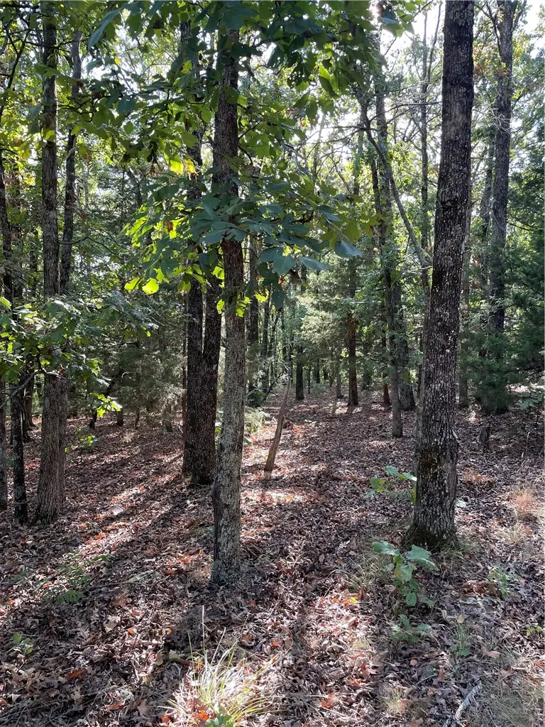 TBD Madison 6021, Elkins, AR 72727 - #3