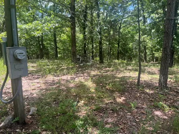 4629 Mallard Terrace, Flippin, AR 72634