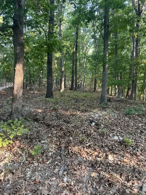 TBD Windsong Lane, Eureka Springs, AR 72631 - #1