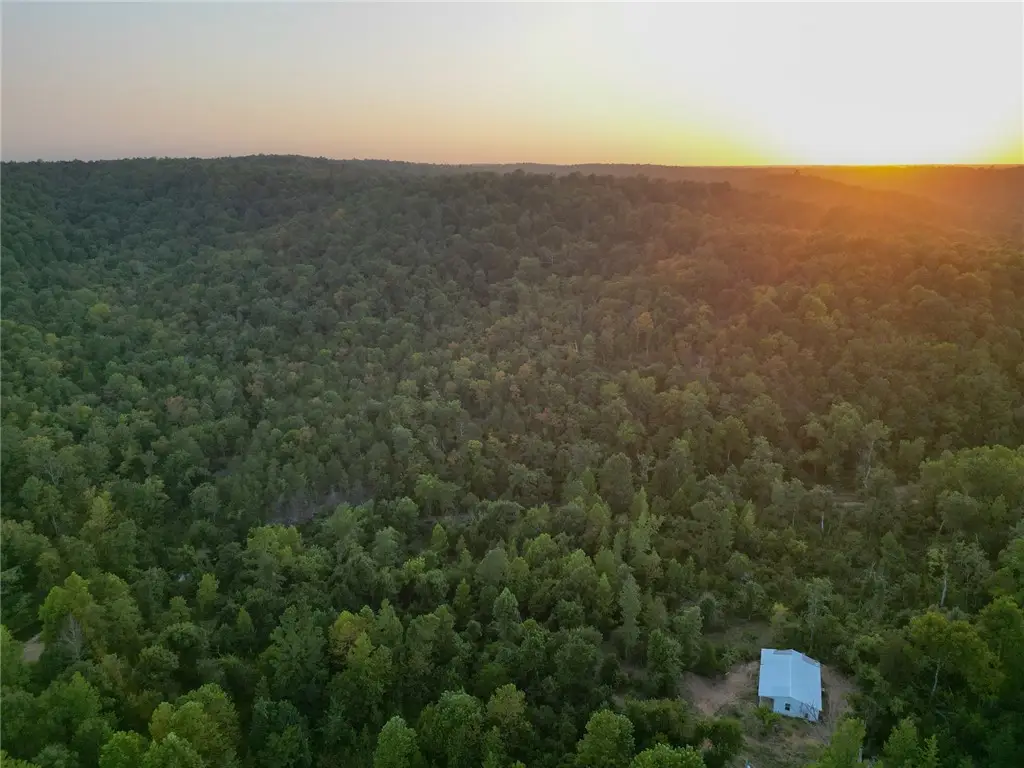 922 Baker Cemetery Road, South Union, AR 72482 - #1