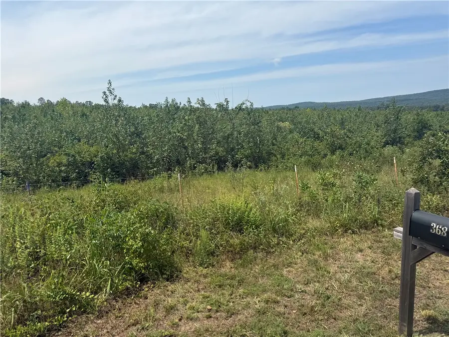 000 Williams Ridge Drive, Dover, AR 72837 - #2