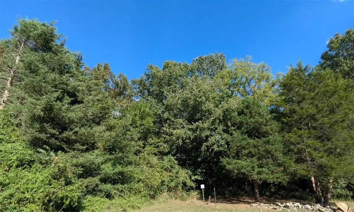 365 Cr-853, Green Forest, AR 72638 - #1