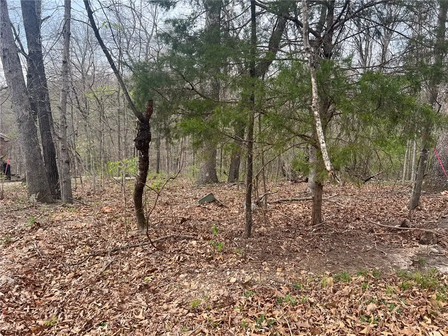 Cunningham Lane, Bella Vista, AR 72715 - #2