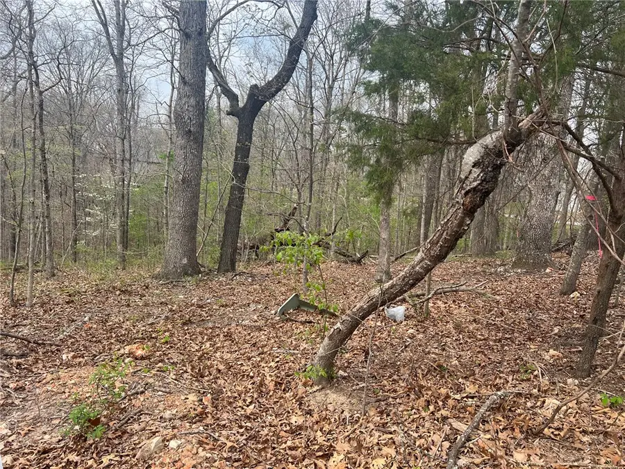 Cunningham Lane, Bella Vista, AR 72715 - #3