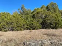 12 Lakeview Lane, Holiday Island, AR 72631 - #2