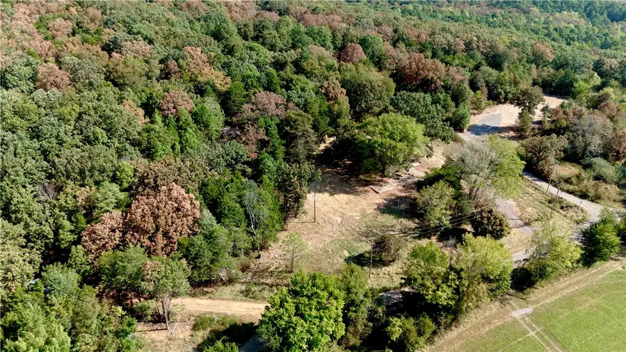 12008 Ozark Road, Rudy, AR 72952 - #3