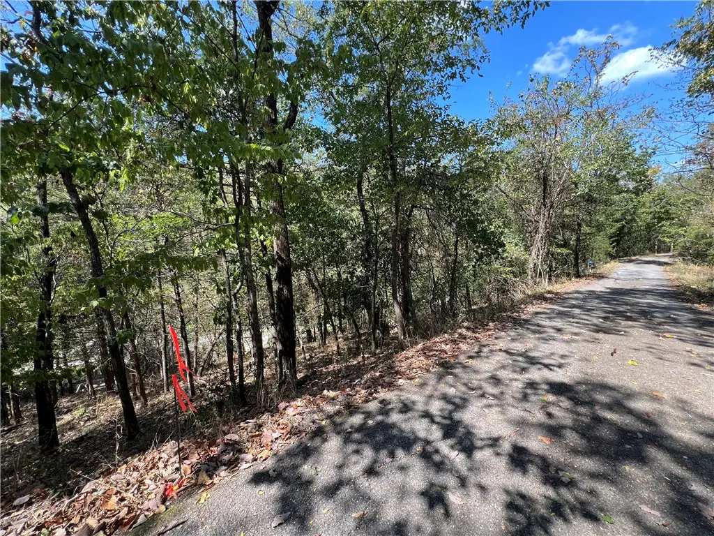 Parcel #925-01599-002 Tbd Vine Street, Eureka Springs, AR 72632 - #1