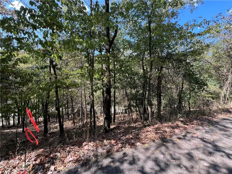 Parcel #925-01599-002 Tbd Vine Street, Eureka Springs, AR 72632 - #2