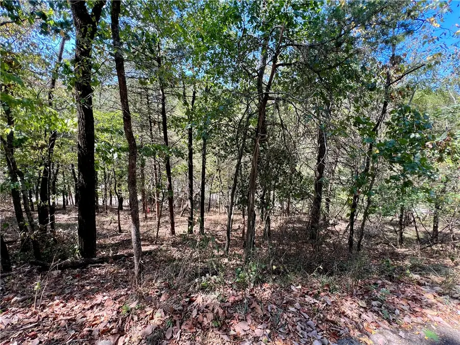 Parcel #925-01599-002 Tbd Vine Street, Eureka Springs, AR 72632 - #3