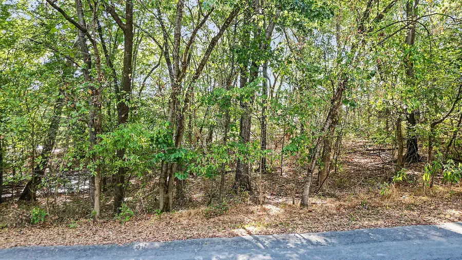 Ruswarp Lane, Bella Vista, AR 72714 - #2