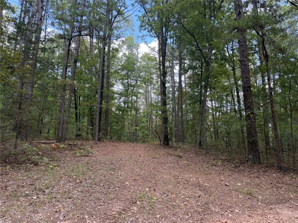 Tract 2 Oakland Road, Saint Joe, AR 72675 - #1