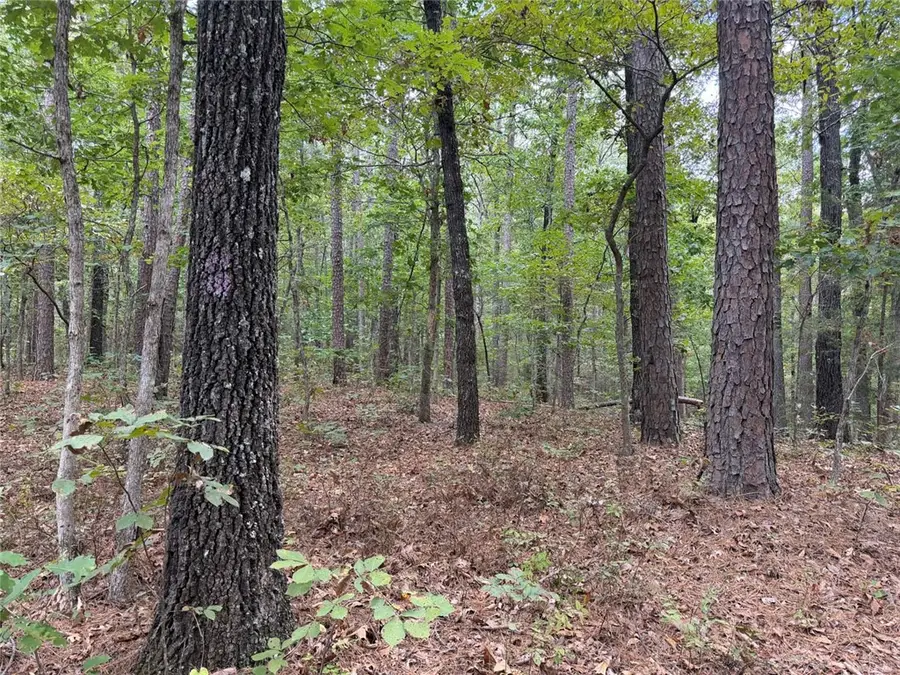 Tract 2 Oakland Road, Saint Joe, AR 72675 - #2