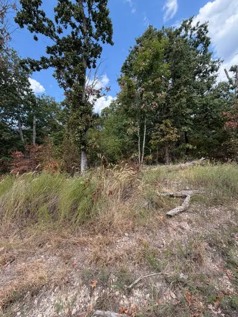 TBD Sandgate, Bella Vista, AR 72714 - #3