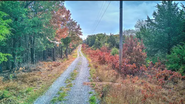 Wallin Mountain Rd, Greenland, AR 72737