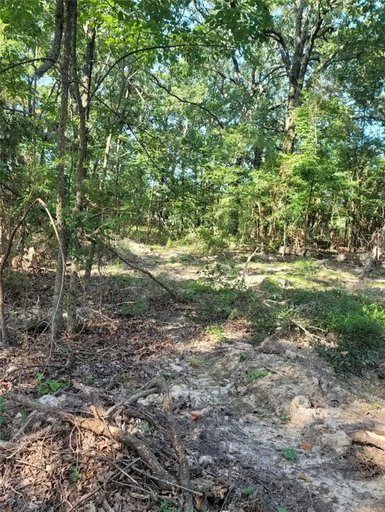 3 Acres E Adams Street, Lincoln, AR 72744 - #3
