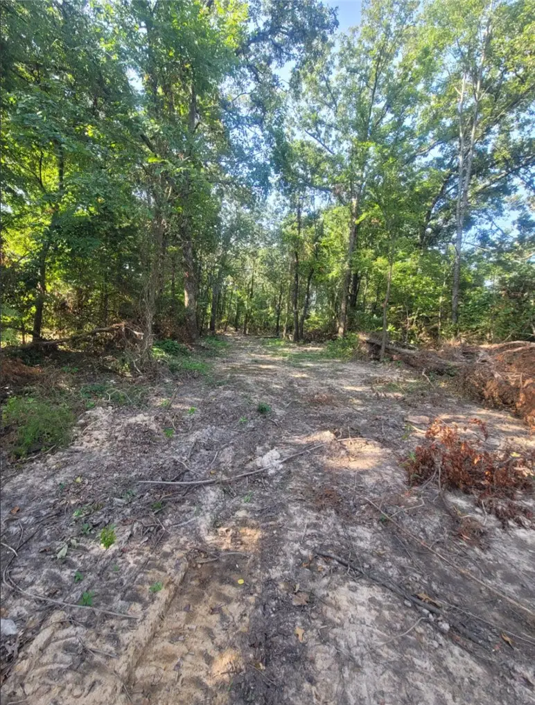 1.37 Acre E Adams Street, Lincoln, AR 72744 - #2