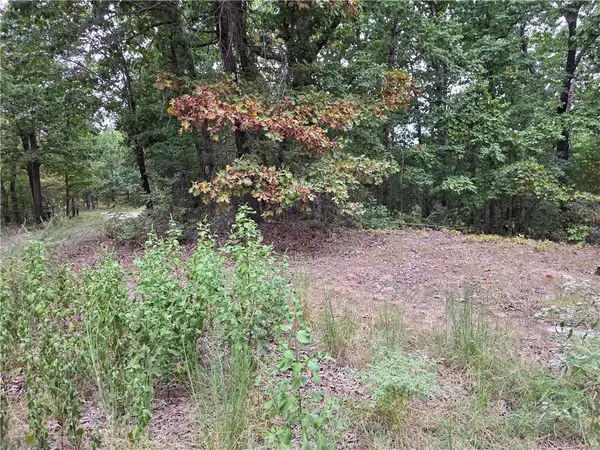 7203 Marion County 6061, Flippin, AR 72634